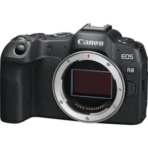 Фотоапарат Canon EOS R8 Body RU Black (5803C002)