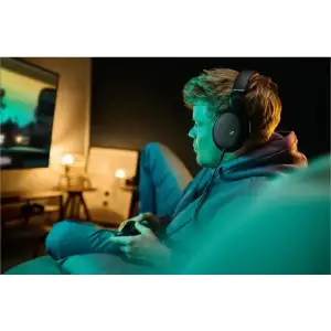Наушники Sennheiser HD 550 Black (700455)