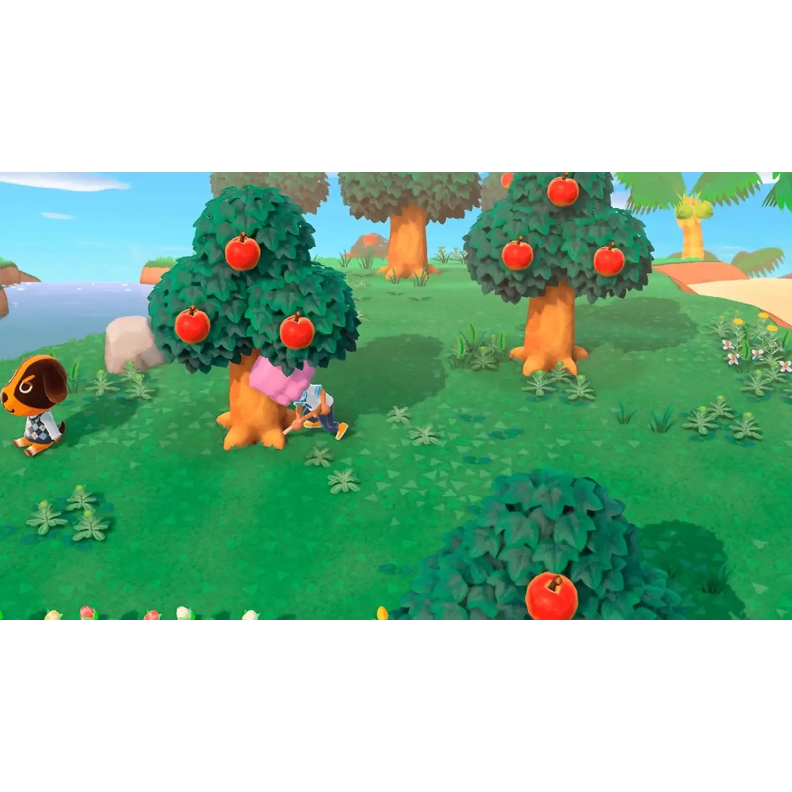 Игра Nintendo Switch 2 Animal Crossing: New Horizons (NS2ACNH)