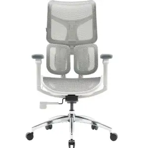 Кресло офисное Sihoo Doro S100 Mesh White (S100-M302) UA