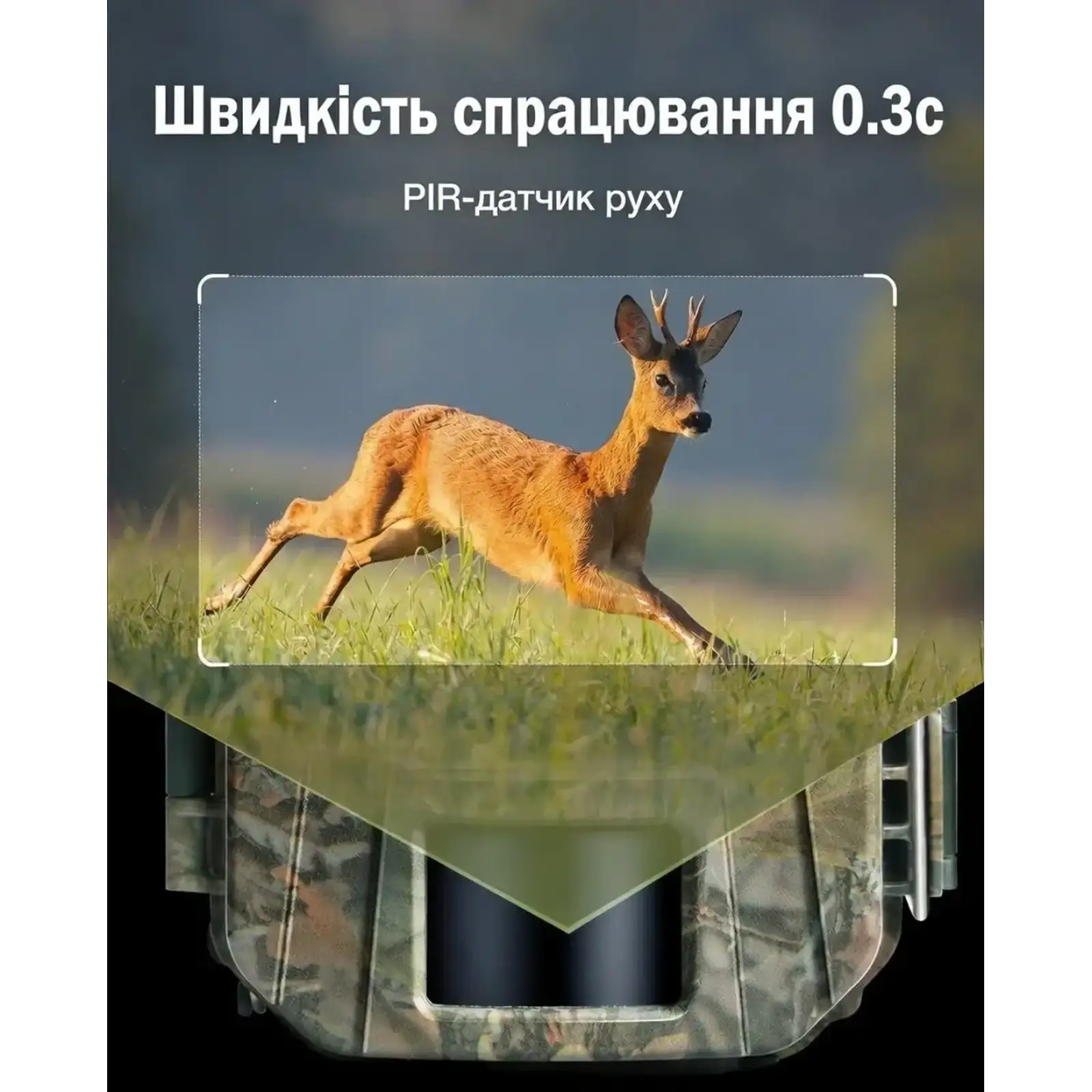 Фотопастка Wolfang WT01