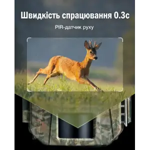 Фотопастка Wolfang WT01