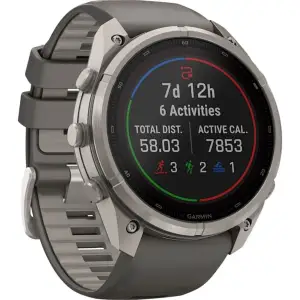 Смарт-часы Garmin Fenix 9 Pro Solar 51mm Titanium with Pebble Gray/Silver Gray Silicone Band (010-04339-05/06)