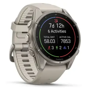 Смарт-годинник Garmin Fenix 9 43mm Titanium with Fog Gray Silicone Band (010-04761-00/01)