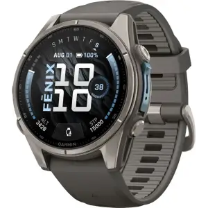 Смарт-часы Garmin Fenix 9 43mm Titanium with Pebble Gray Silicone Band (010-04761-10/11)