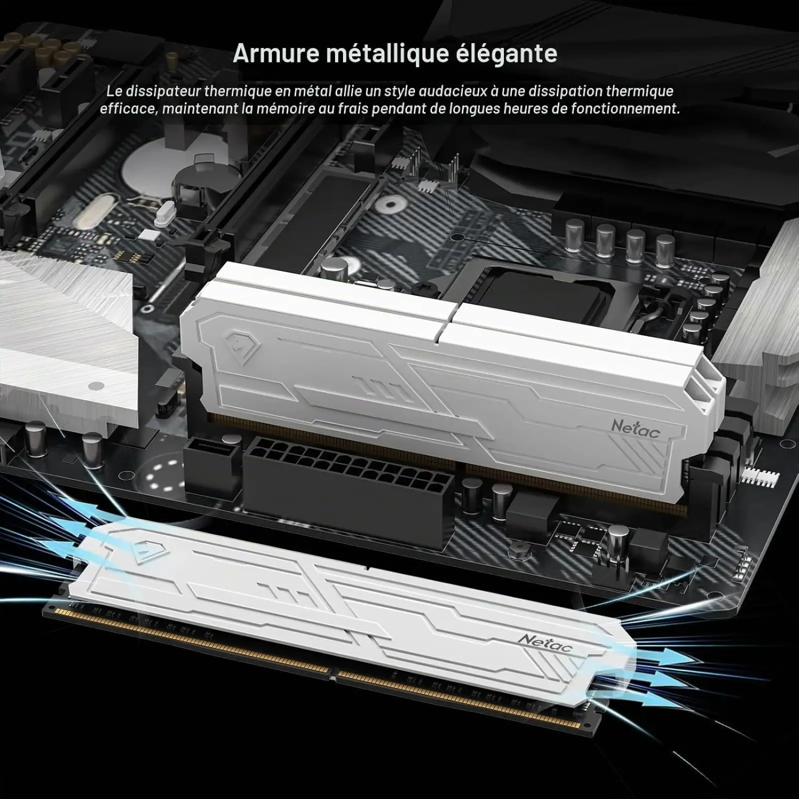 Модуль памяти Netac DDR5 RAM 32GB (2x16GB) Desktop Memory Kit 5600MHz C46 (B0GK5W9ZNP)