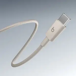 Кабель Beats USB-C to USB-C Braided Cable (1.5 m) Rushing Ashes (MDGD4)