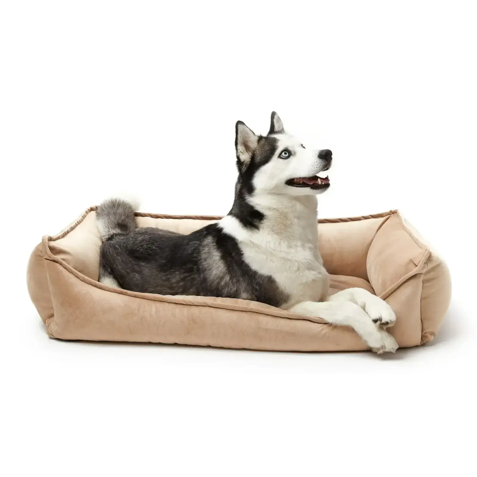 Лежак Petbed Комфорт 2XL 100x70см h-25см Бежевый