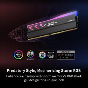 Оперативная память Silicon Power XPOWER Storm DDR5 16GB (2x8GB) Storm RGB 6000 CL36 (SP016GXLWU60FBDKAI)