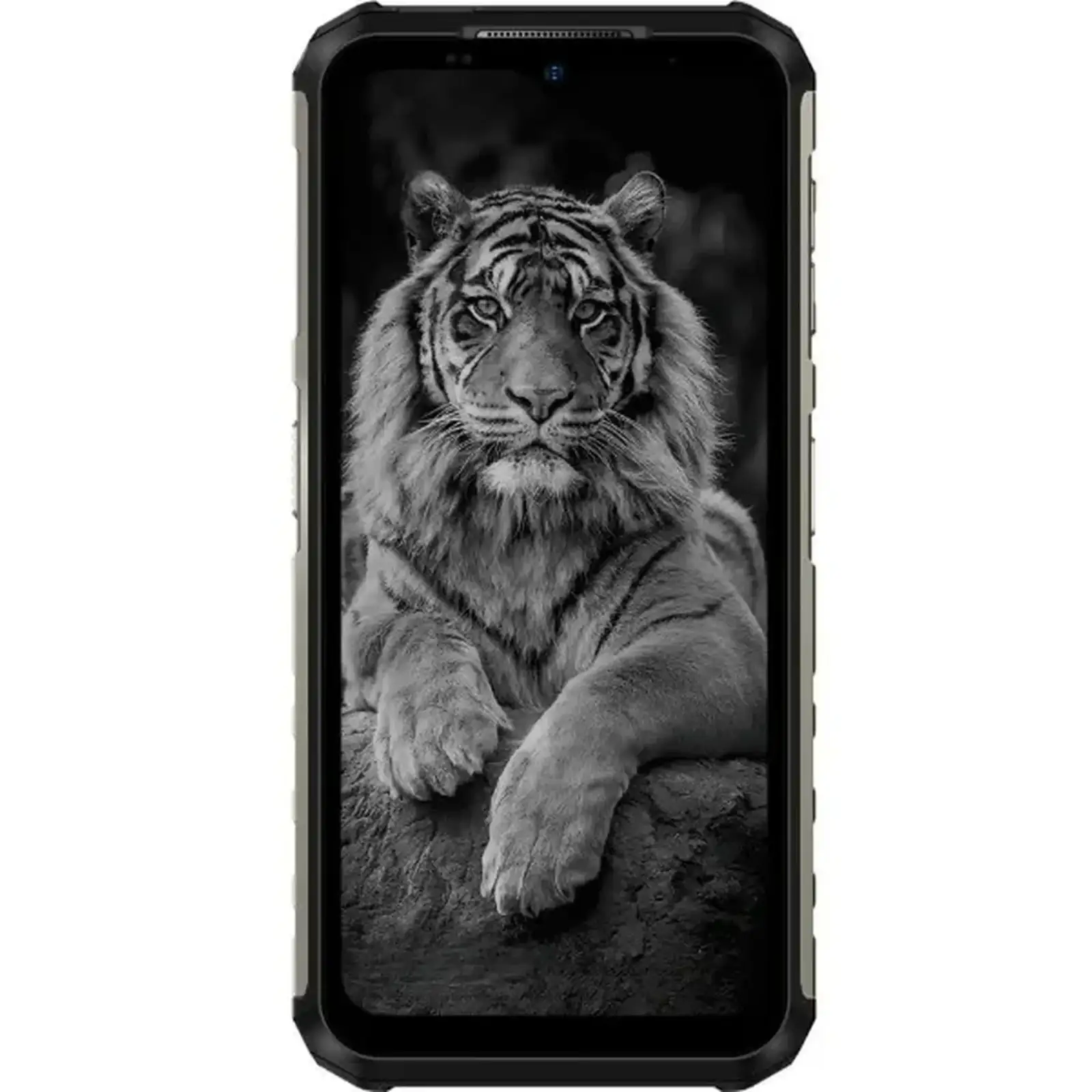 Смартфон Ulefone Armor 22 Pro 8/128GB Black EU