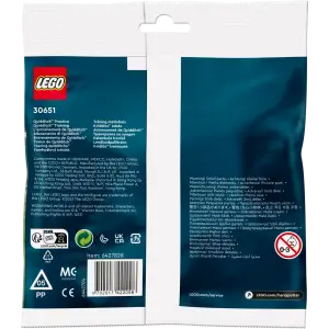 Конструктор LEGO Harry Potter Тренування з квідичу (30651)