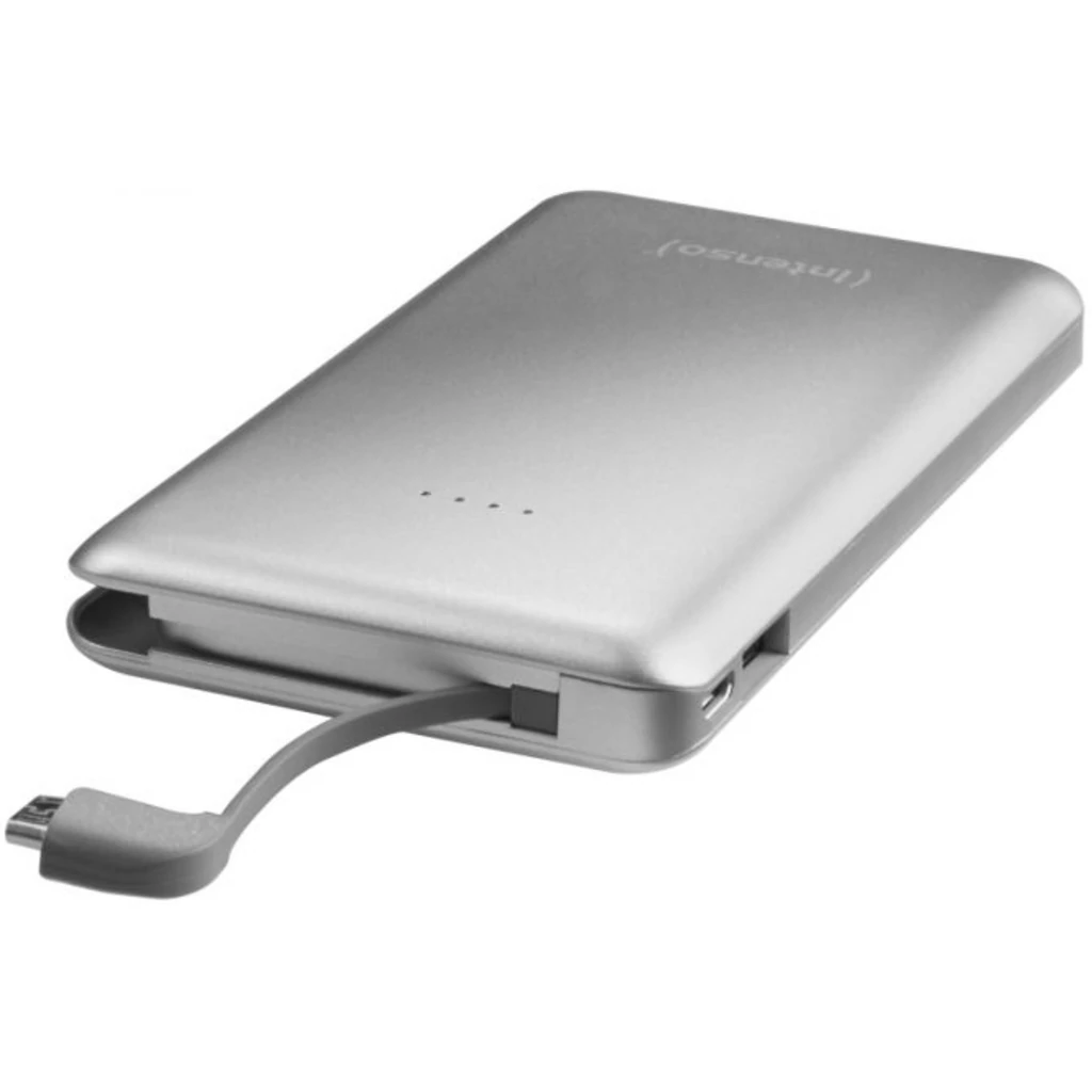 Зовнішній акумулятор Intenso S10000 10000mAh Silver (7332531) UA
