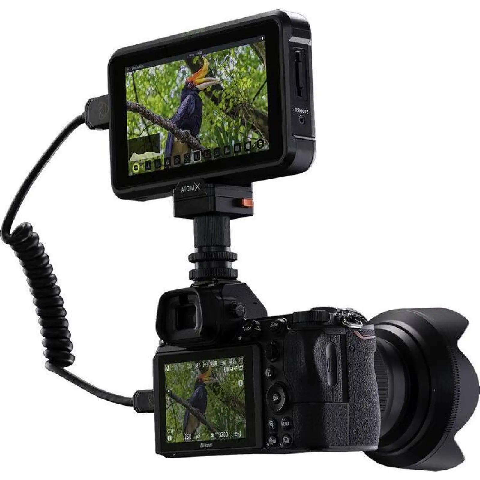 Накамерный монитор Atomos Shinobi 5.2 4K HDMI Monitor (ATOMSHBH01)