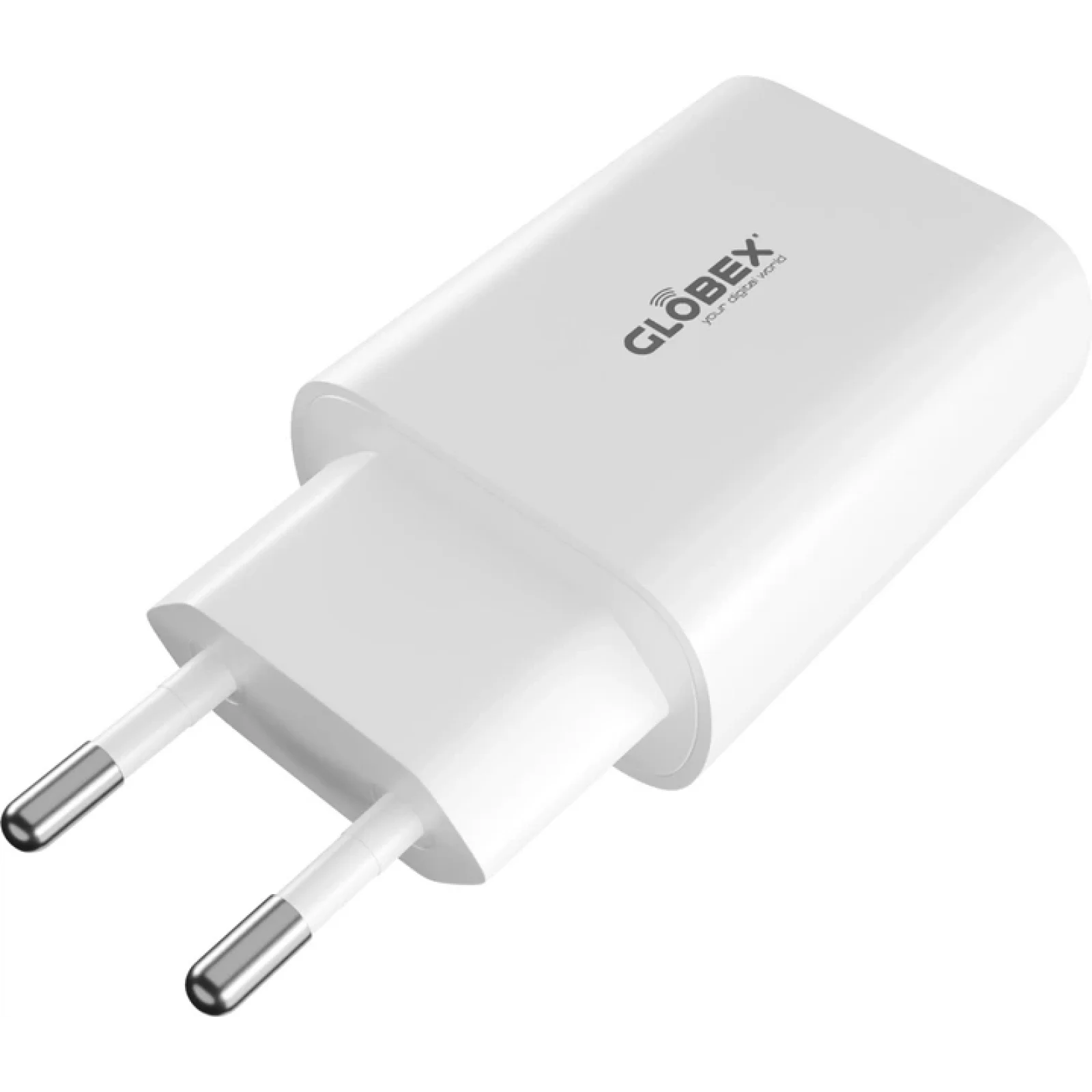 СЗУ Globex FastPower 20WC1A UA