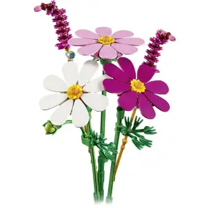 Конструктор LEGO Botanicals Цветы космеи (11514)