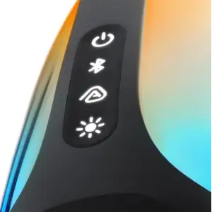 Портативная колонка JBL Pulse 6 Black (JBLPULSE6BLK)