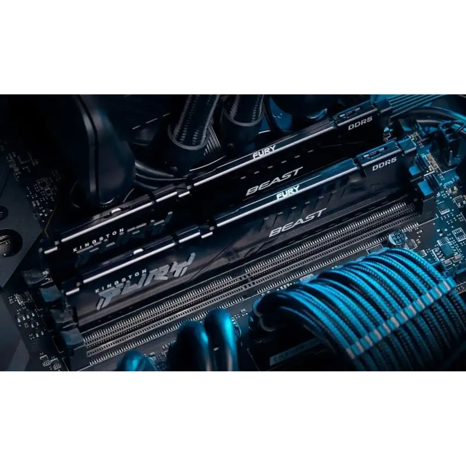 Оперативная память Kingston FURY 8 GB DDR5 5200 MHz Beast (KF552C40BB-8) UA