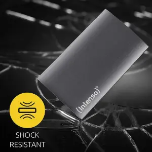 SSD накопичувач Intenso Premium Edition 256GB (3823440)