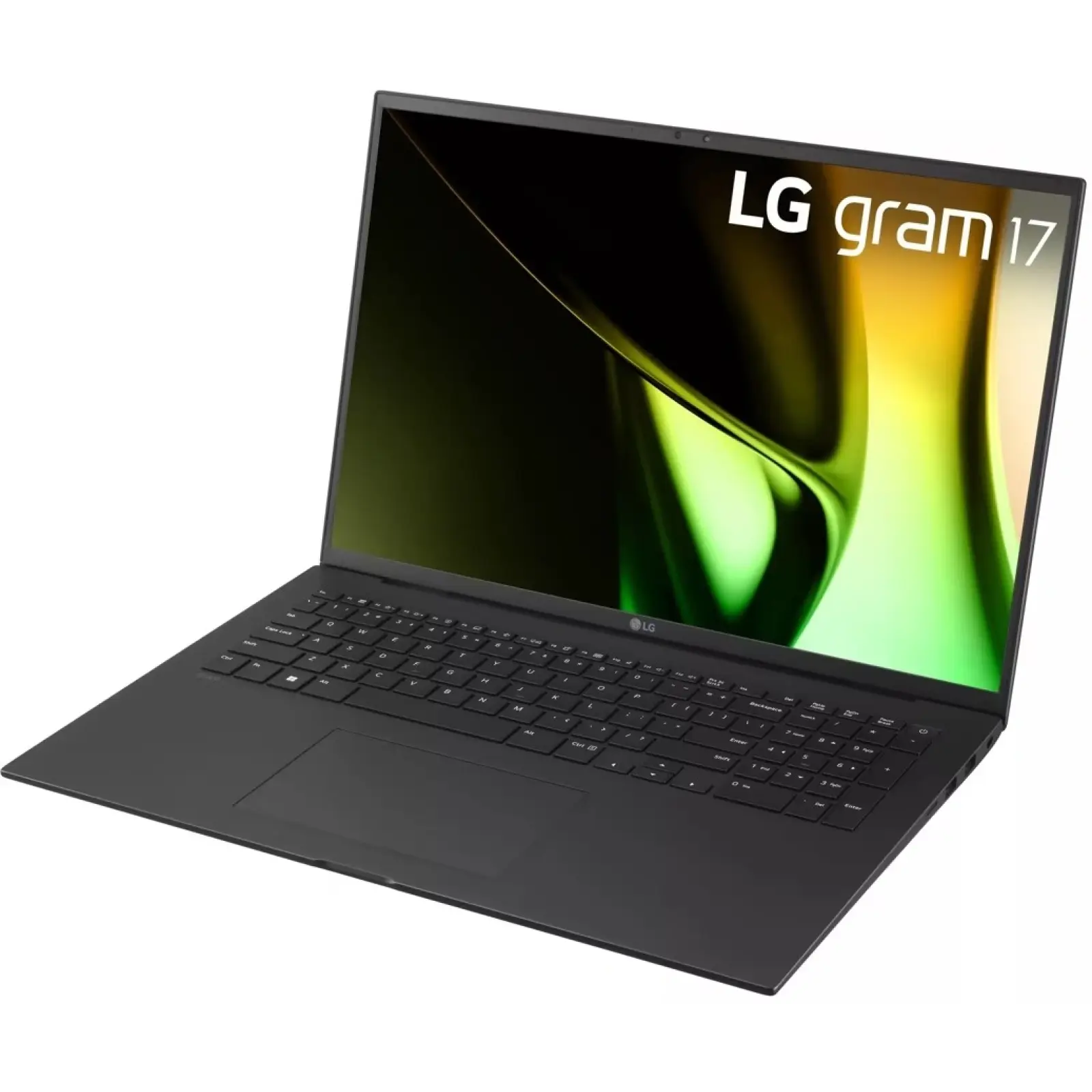 Ноутбук LG Gram 17 (17Z90S-G.AAB5U1)