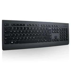 Клавиатура Lenovo Professional Wireless Black (4Y41D64797) UA