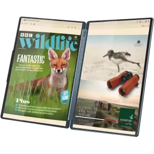 Ноутбук Lenovo Yoga Book 9 14IAH10 (83KJ001KPB)