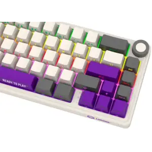 Клавиатура Lorgar KBP70MW Baige/Gray/Purple (LRG-KBP70MW-RT-US) UA