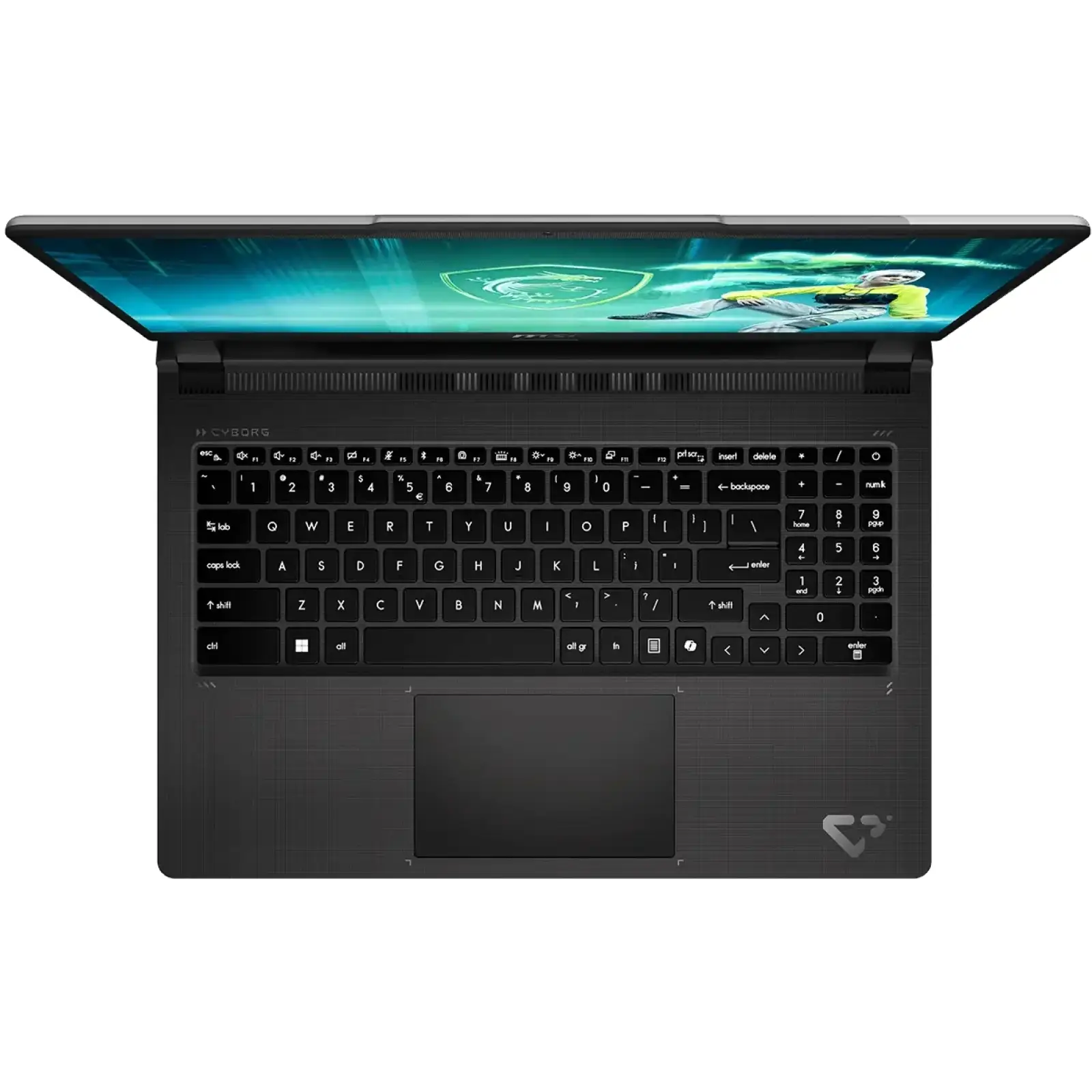 Ноутбук MSI Cyborg 15 Max C2WE-248XUA (9S7-15T111-248) UA