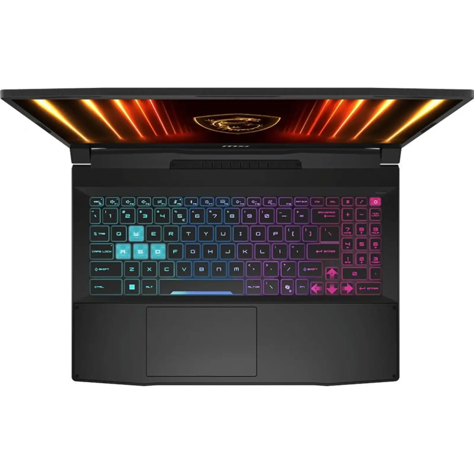 Ноутбук MSI Katana 15 HX B14WGK (B14WGK-293US) 32GB/2TB Custom