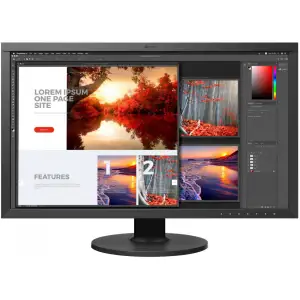 Монитор EIZO CS2740 UA