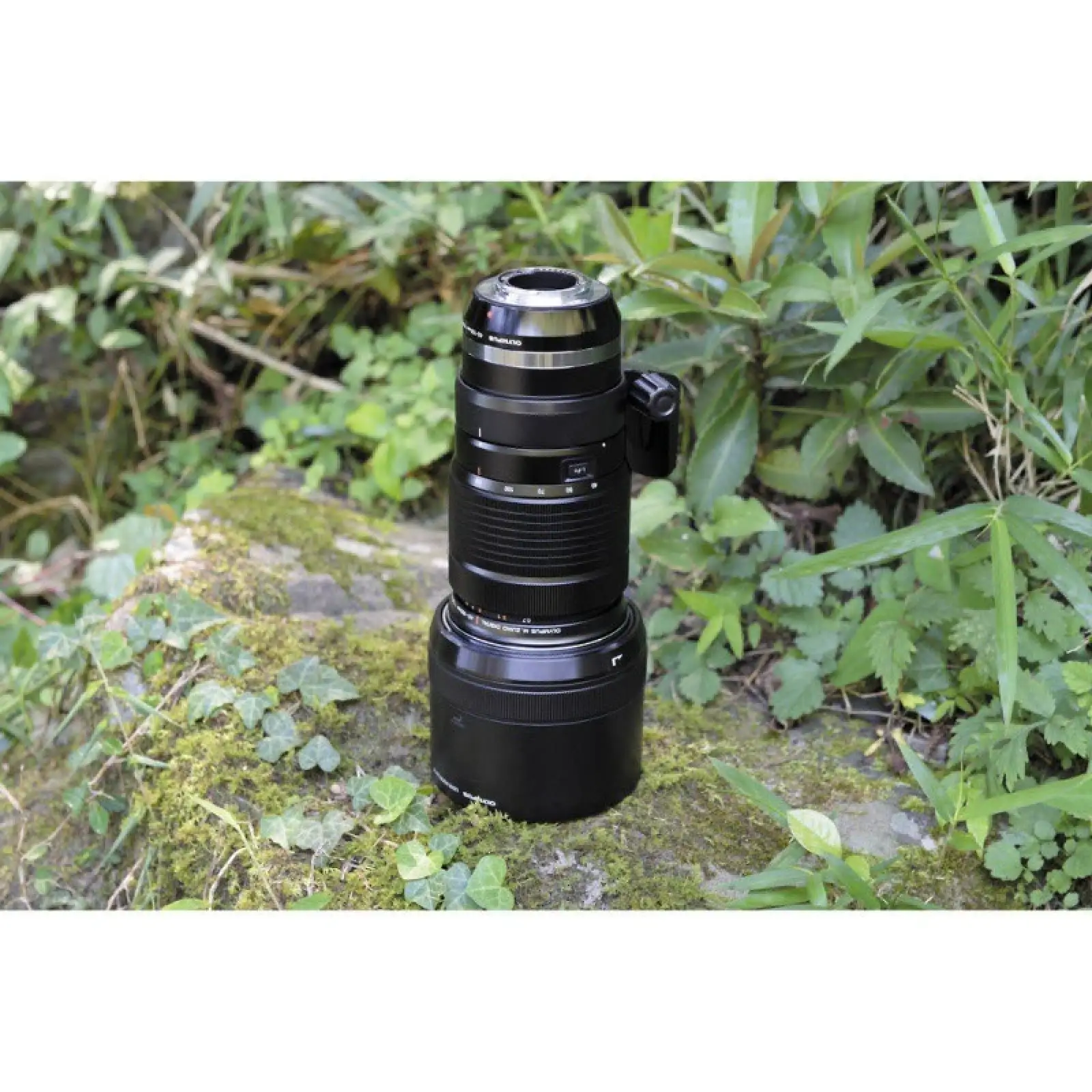 Довгофокусний об'єктив Olympus ZUIKO DIGITAL ED 40-150mm 1:2,8