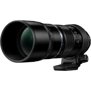 Долгофокусный объектив Olympus ZUIKO DIGITAL ED 300mm 1:4,0 IS PRO