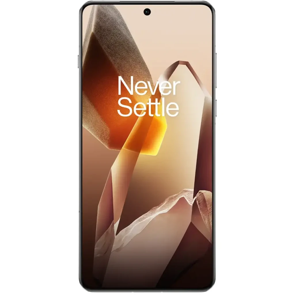 Смартфон OnePlus 13 24/1TB Arctic Dawn