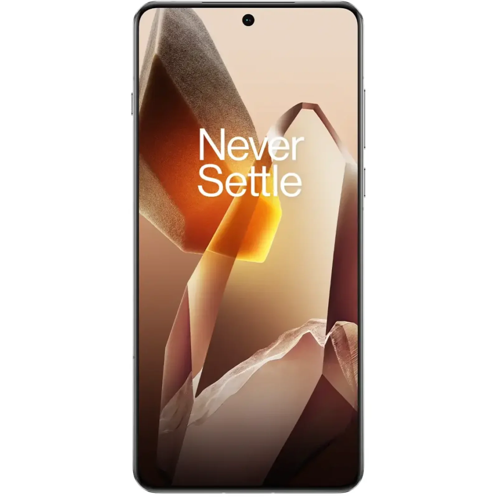 Смартфон OnePlus 13 16/512GB Arctic Dawn