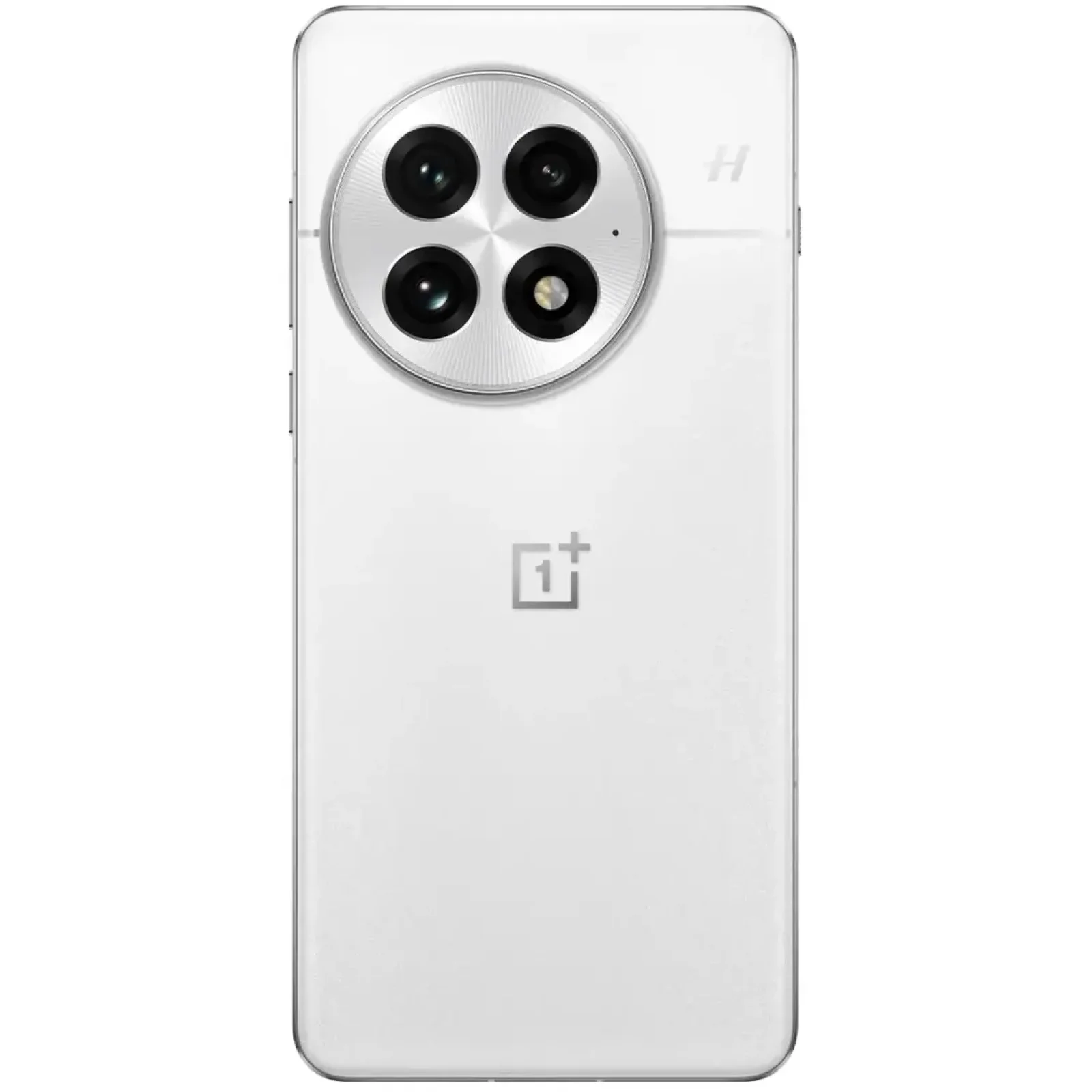 Смартфон OnePlus 13 16/512GB Arctic Dawn