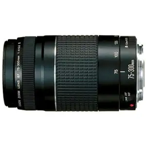 Объектив Canon EF 75-300mm f/4-5,6 III