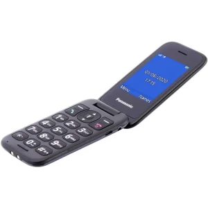 Мобільний телефон Panasonic KX-TU400 Gray (KX-TU400EXG) UA