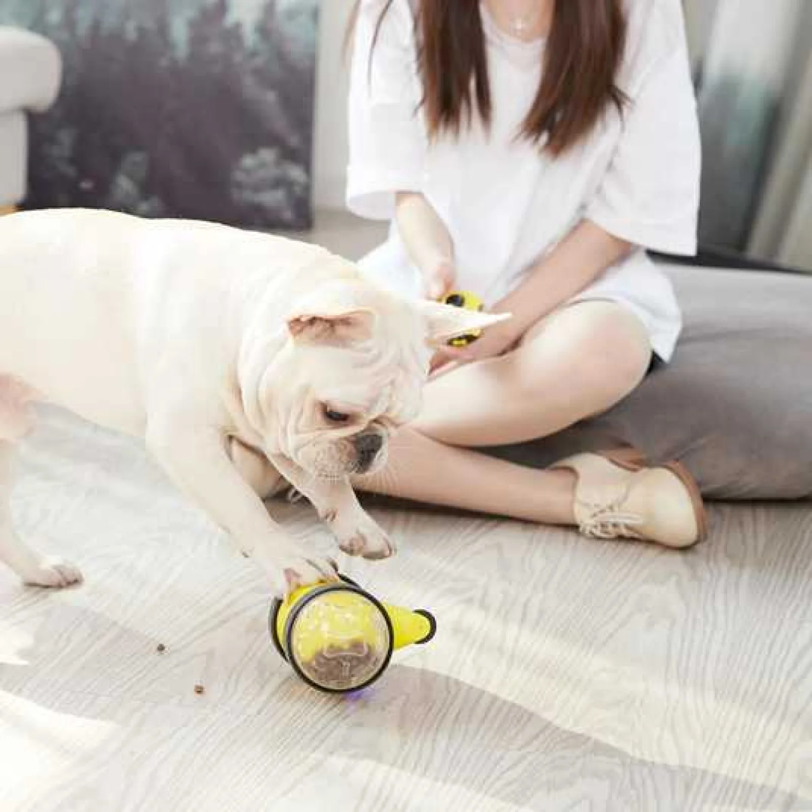 Игрушка-кормушка Little Beast Star Yellow XT05-5001