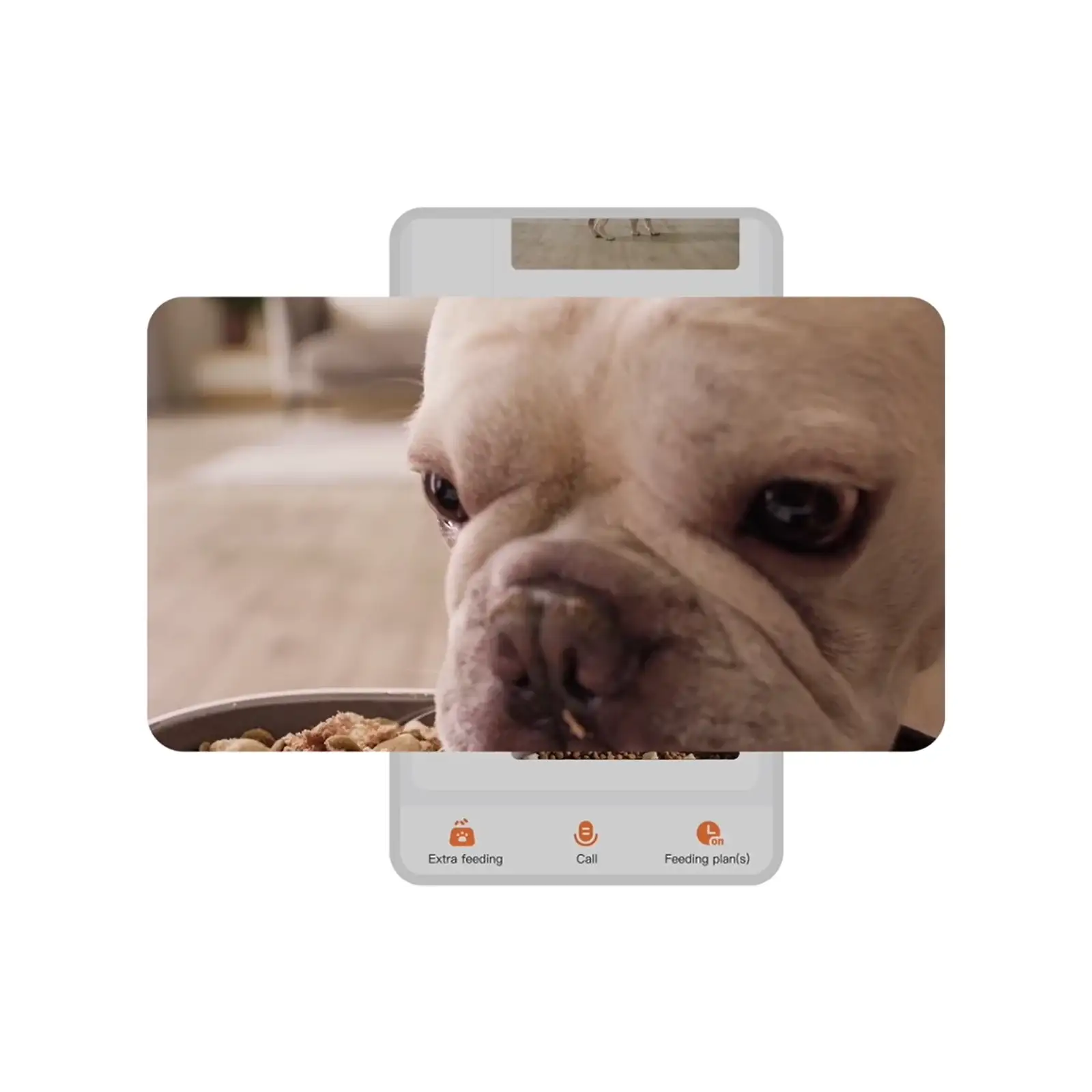 Смарт годівниця PETKIT YUMSHARE SOLO with Cam P571 UA