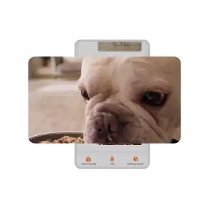 Смарт годівниця PETKIT YUMSHARE SOLO with Cam P571 UA