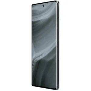 Смартфон Realme GT5 Pro 12/256GB Black