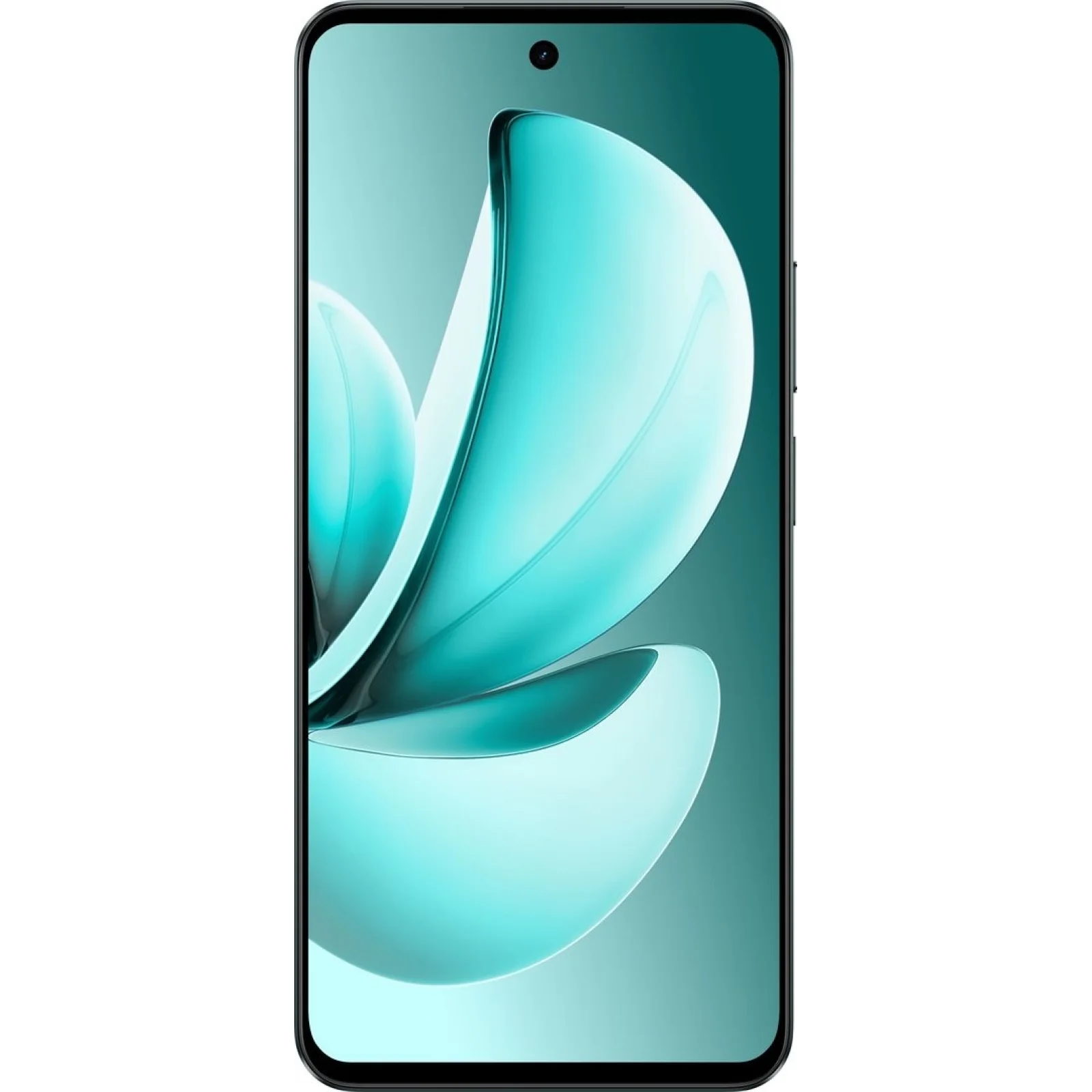 Смартфон Realme C71 8/256GB Forest Owl UA