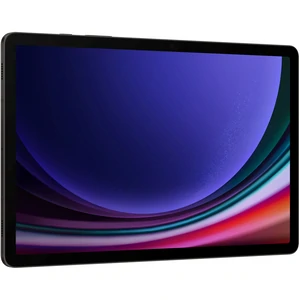 Планшет Samsung Galaxy Tab S9 12/256GB 5G Graphite (SM-X716BZAE) UA