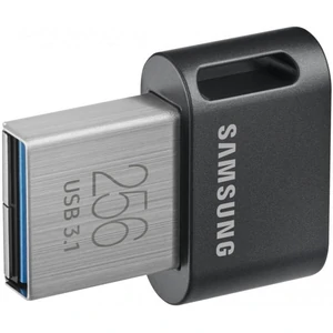 USB накопичувач Samsung 256 GB Fit Plus Black (MUF-256AB/APC)