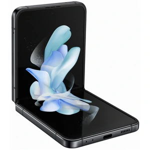 Смартфон Samsung Galaxy Flip4 5G 8/128GB Graphite (SM-F721BZAG)