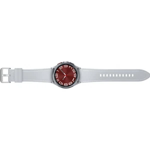 Смарт-годинник Samsung Galaxy Watch6 Classic 43mm Silver (SM-R950NZSA) UA