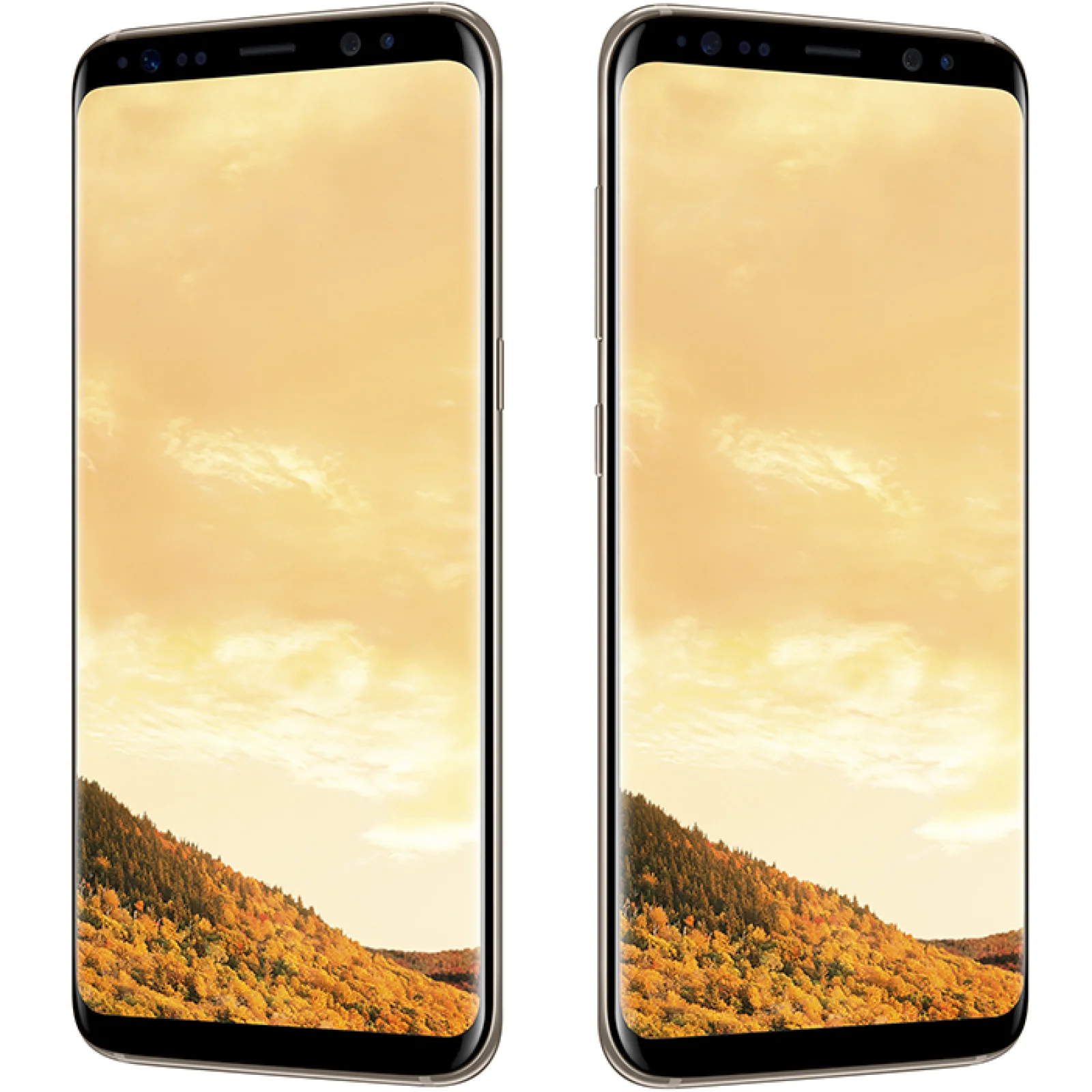 Смартфон Samsung G950FD Galaxy S8 Dual 64GB Gold (SM-G950FZDD) UA