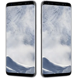 Смартфон Samsung G955F Galaxy S8 + Single Sim 64GB Arctic Silver