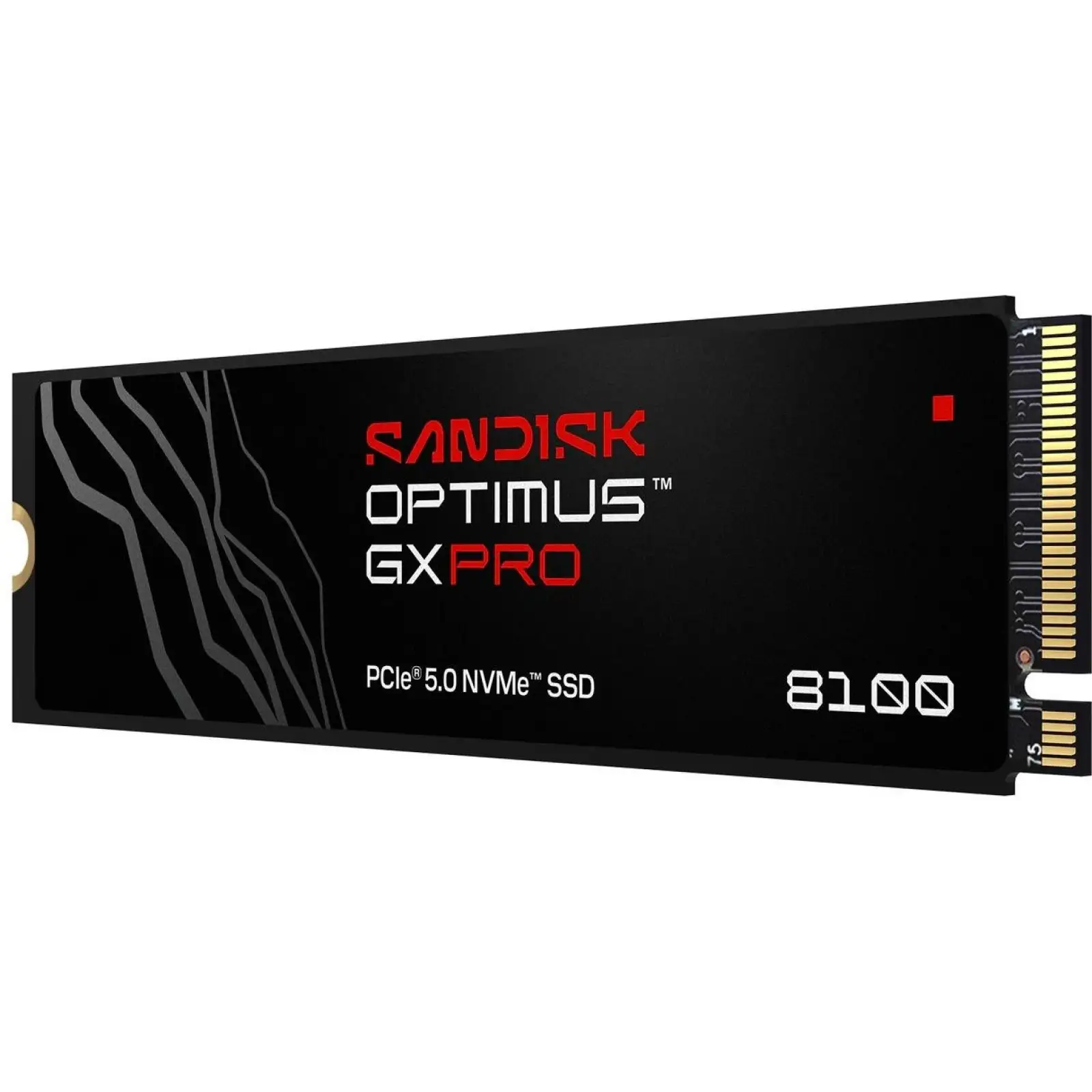 SSD накопитель SanDisk Optimus GX PRO 8100 1TB (SDSP82100TAN-000E0)