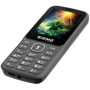 Телефон Sigma Mobile X-style 242 LUCKY Grey UA