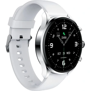 Смарт-часы Xiaomi Black Shark S1 Classic Silver (BS-S1C) EU